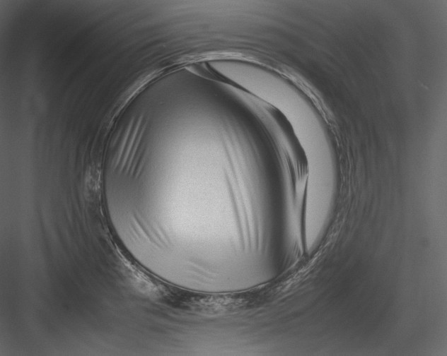 X0000082941193200702222238