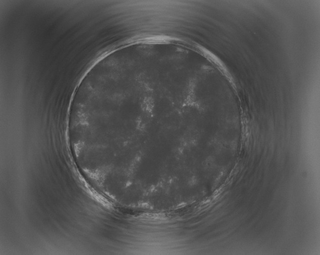 X0000082941194200702222238