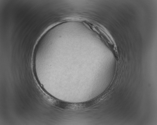 X0000082941195200702222238