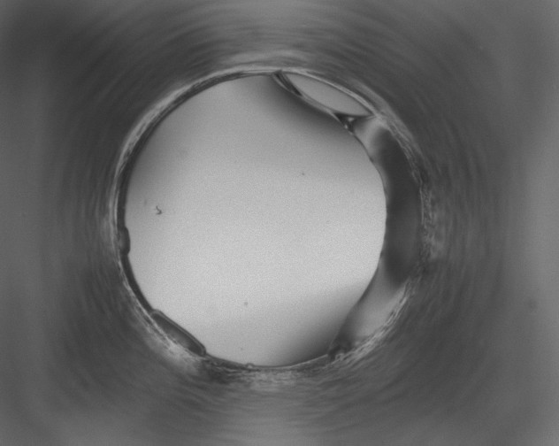 X0000082941196200702222238