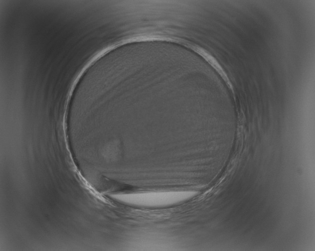 X0000082941197200702222238