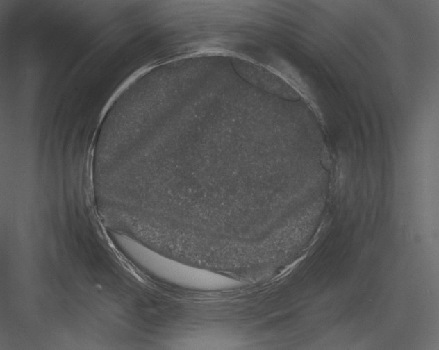 X0000082941198200702222238