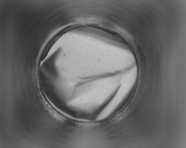 X0000082941200200702222238