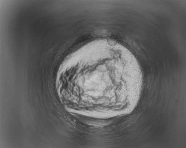 X0000082941201200702222237