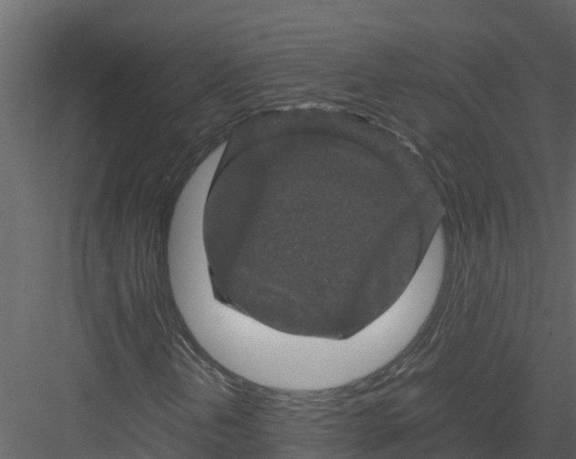 X0000082941202200702222237