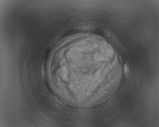 X0000082941203200702222237