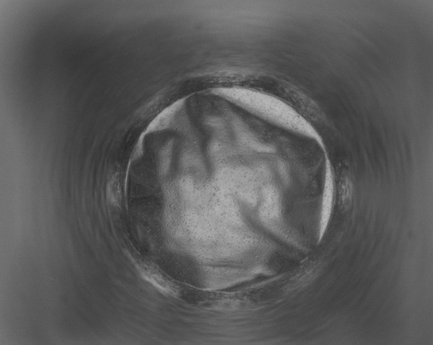 X0000082941204200702222237