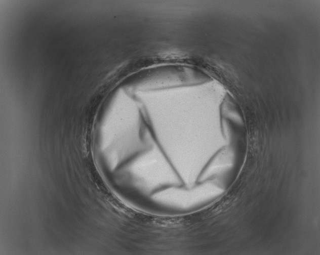 X0000082941205200702222238