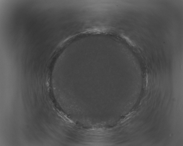 X0000082941206200702222238