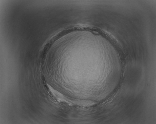 X0000082941207200702222238