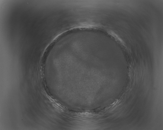 X0000082941208200702222238