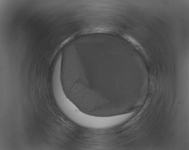 X0000082941210200702222238