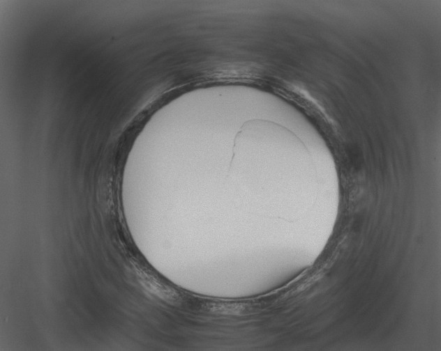 X0000082941211200702222238