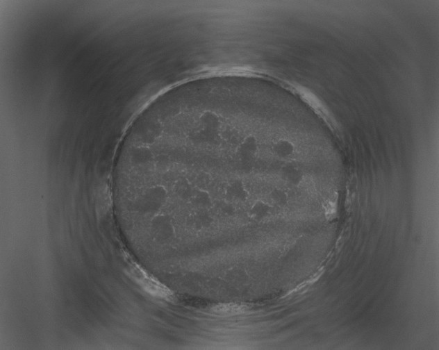 X0000082941212200702222238