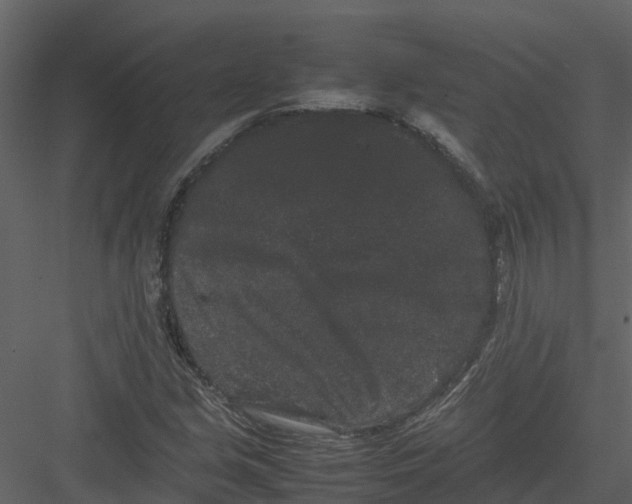 X0000082941213200702222238