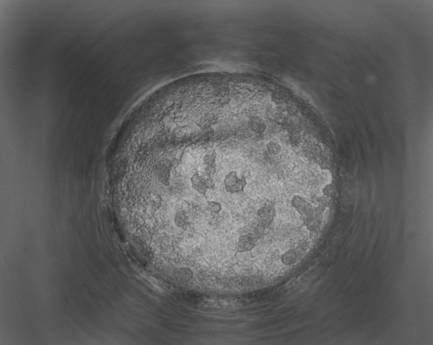 X0000082941215200702222238