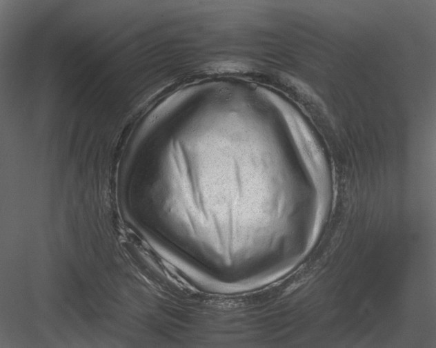 X0000082941217200702222238