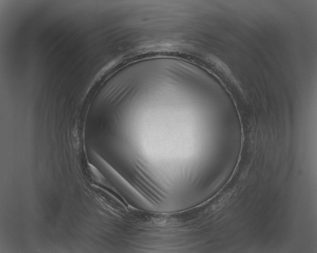 X0000082941218200702222238