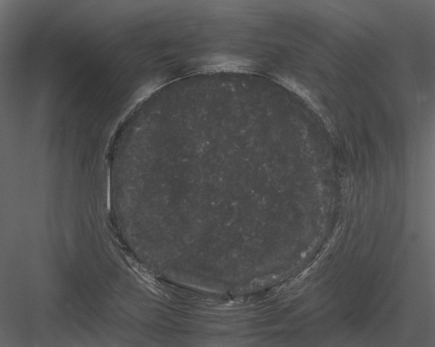 X0000082941219200702222238