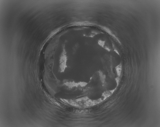 X0000082941221200702222238