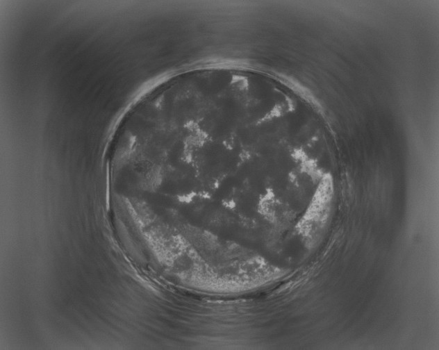 X0000082941223200702222238