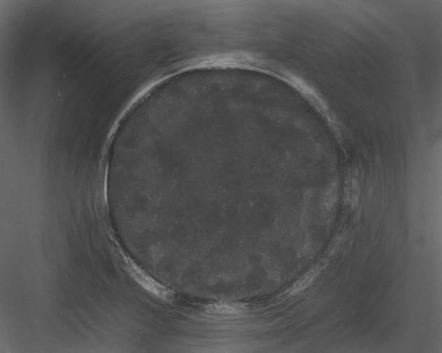 X0000082941224200702222238