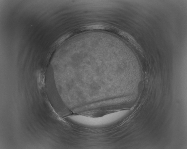 X0000082941225200702222238