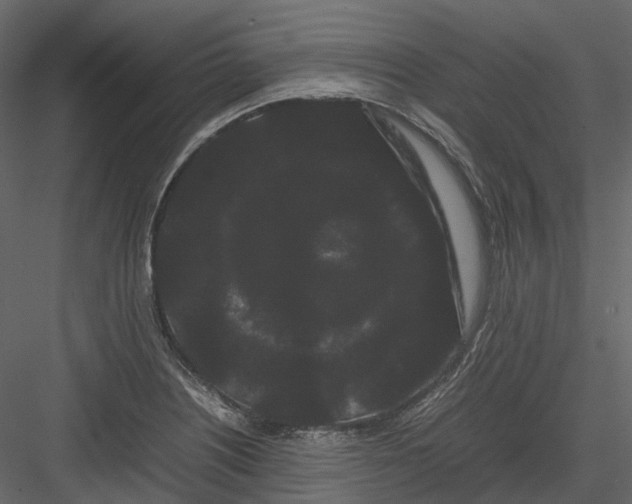 X0000082941226200702222238