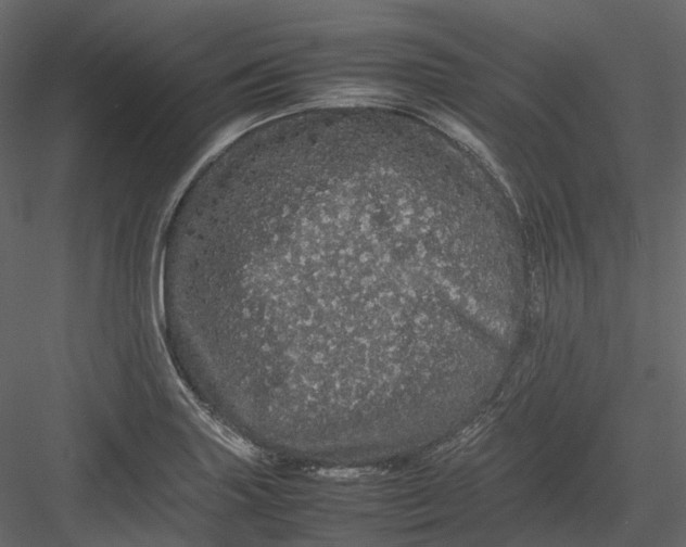 X0000082941227200702222238