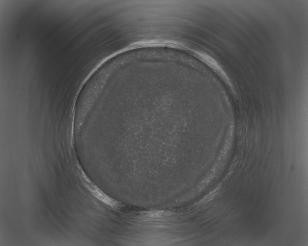 X0000082941228200702222238