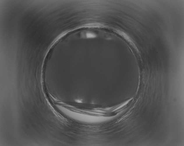 X0000082941229200702222238