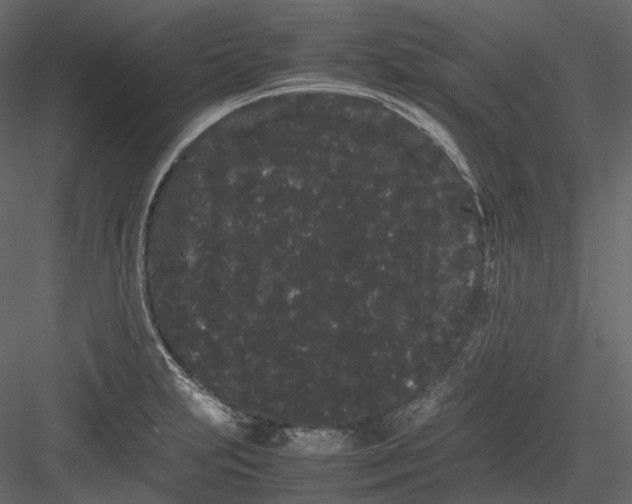 X0000082941231200702222238