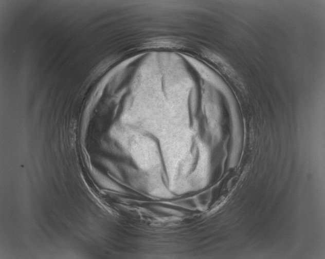 X0000082941233200702222238