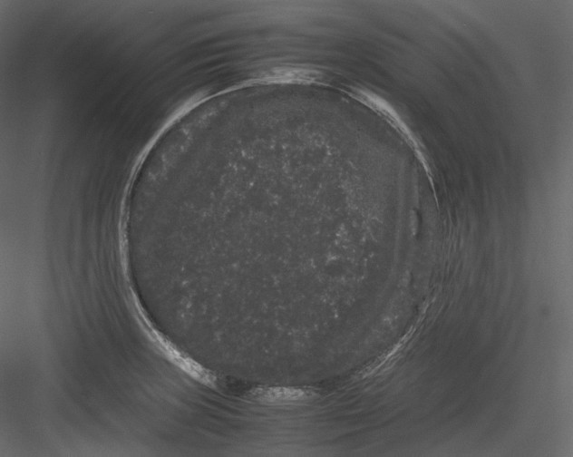 X0000082941235200702222238