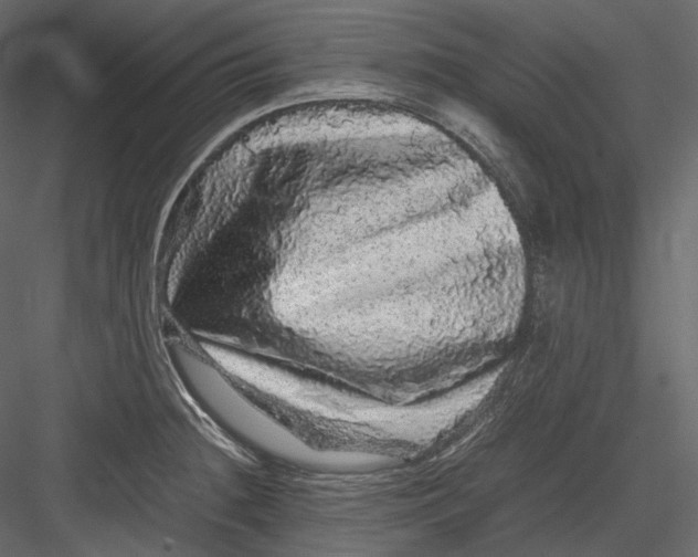 X0000082941236200702222238