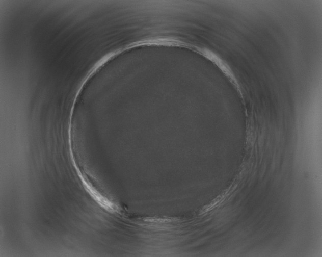 X0000082941237200702222238