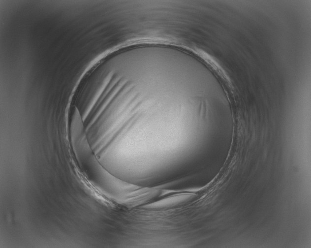 X0000082941238200702222238