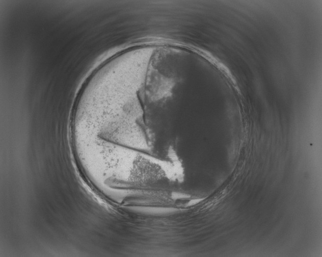 X0000082941239200702222238