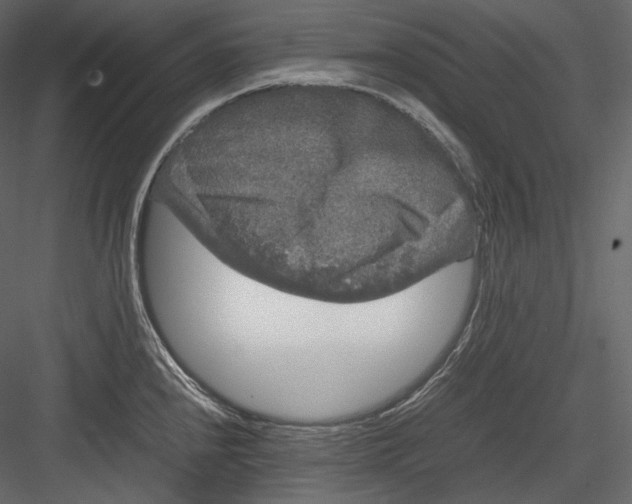 X0000082941240200702222238