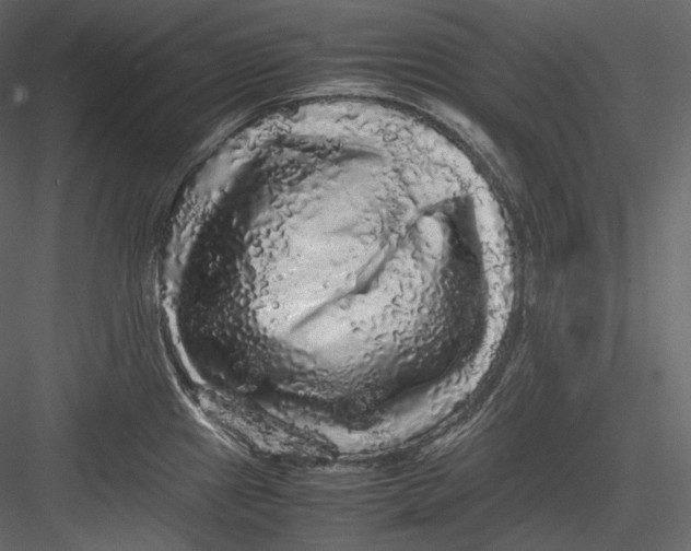 X0000082941241200702222238