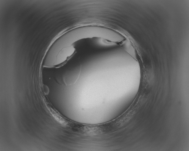 X0000082941242200702222238