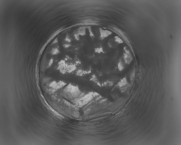 X0000082941243200702222238