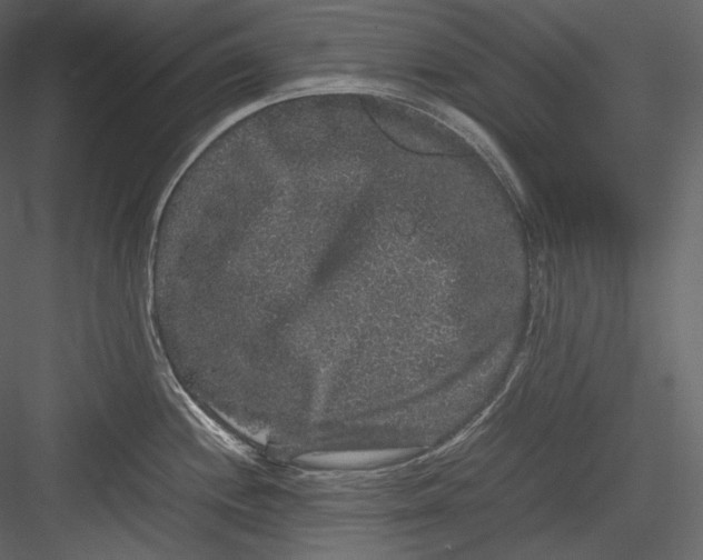 X0000082941244200702222238