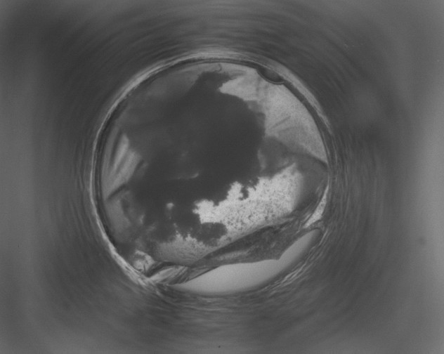 X0000082941245200702222238