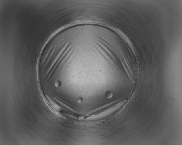 X0000082941246200702222238