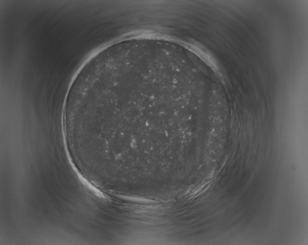 X0000082941247200702222238