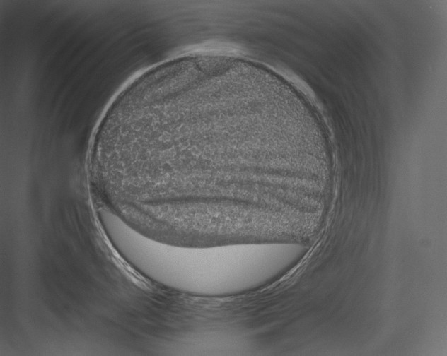 X0000082941248200702222238