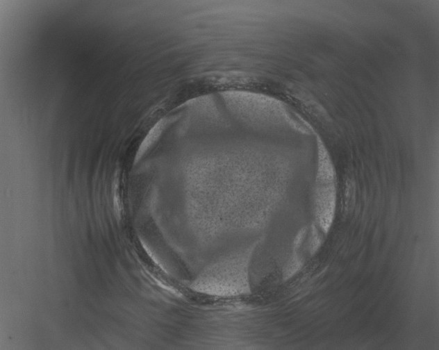 X0000082941250200702222237