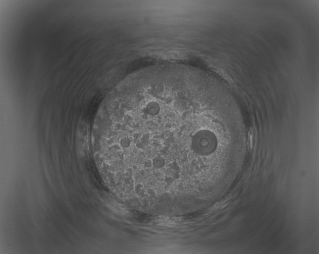 X0000082941251200702222237