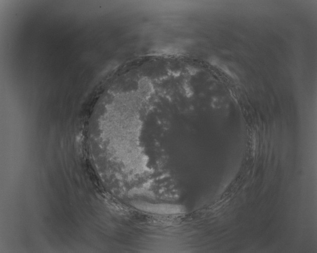 X0000082941254200702222237